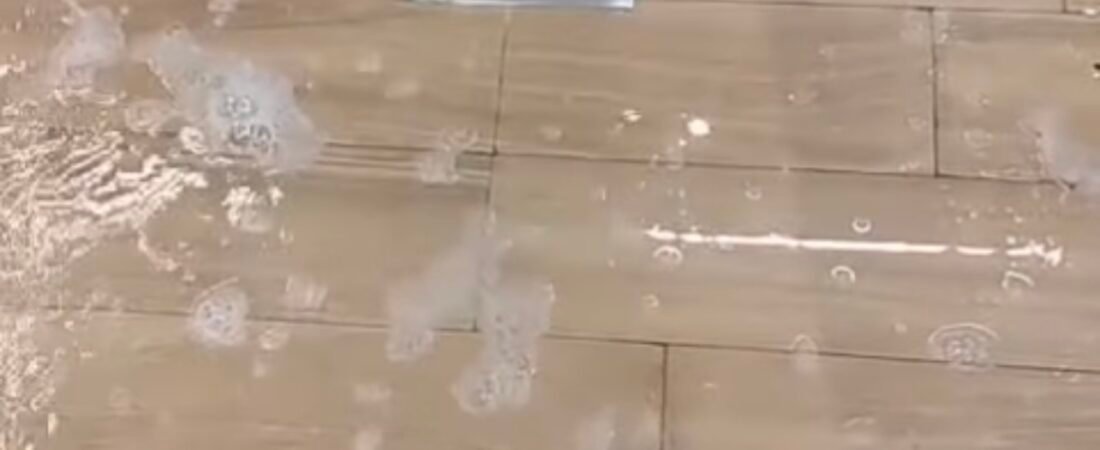تسليك مجاري الصليبيخات