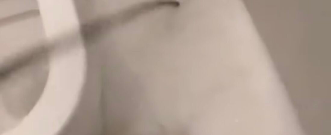 تسليك مجاري الروضة