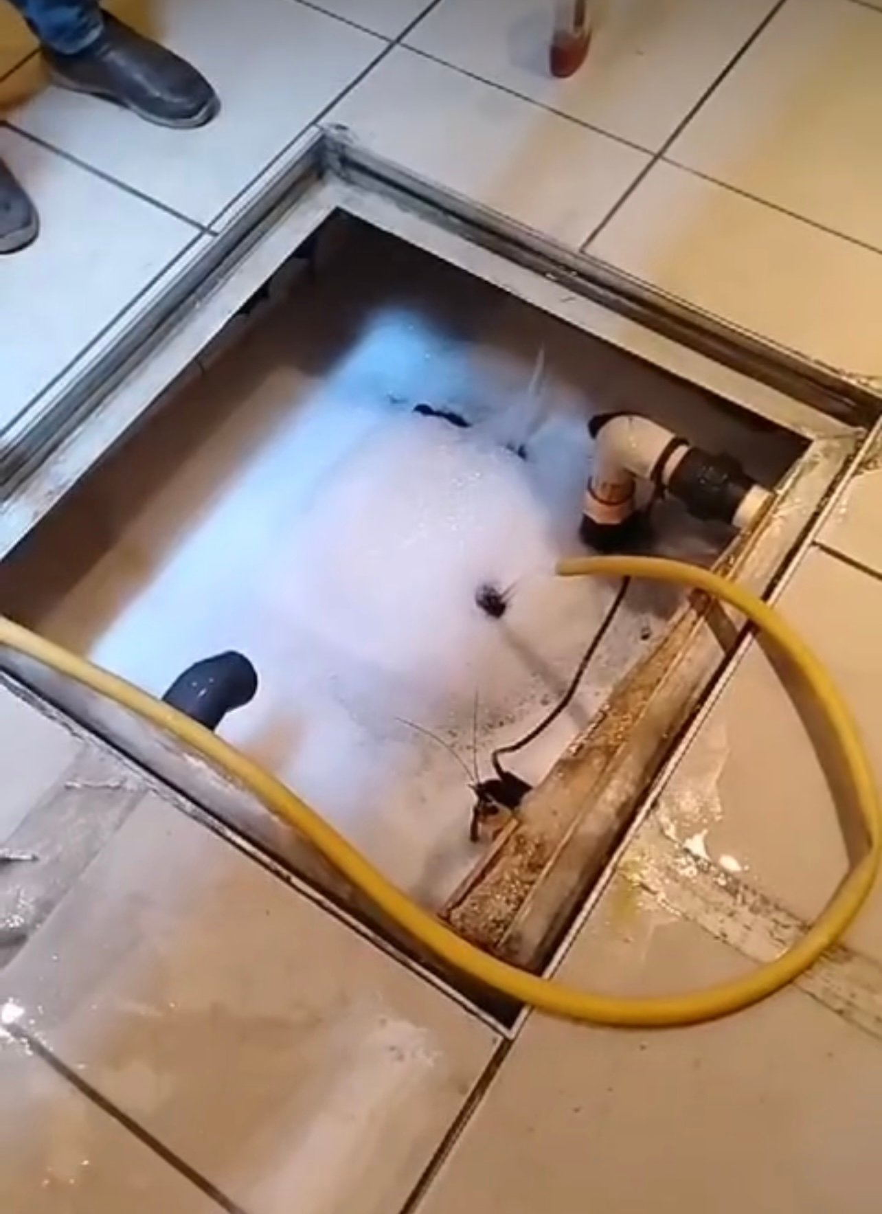 تسليك مجاري الصالحية